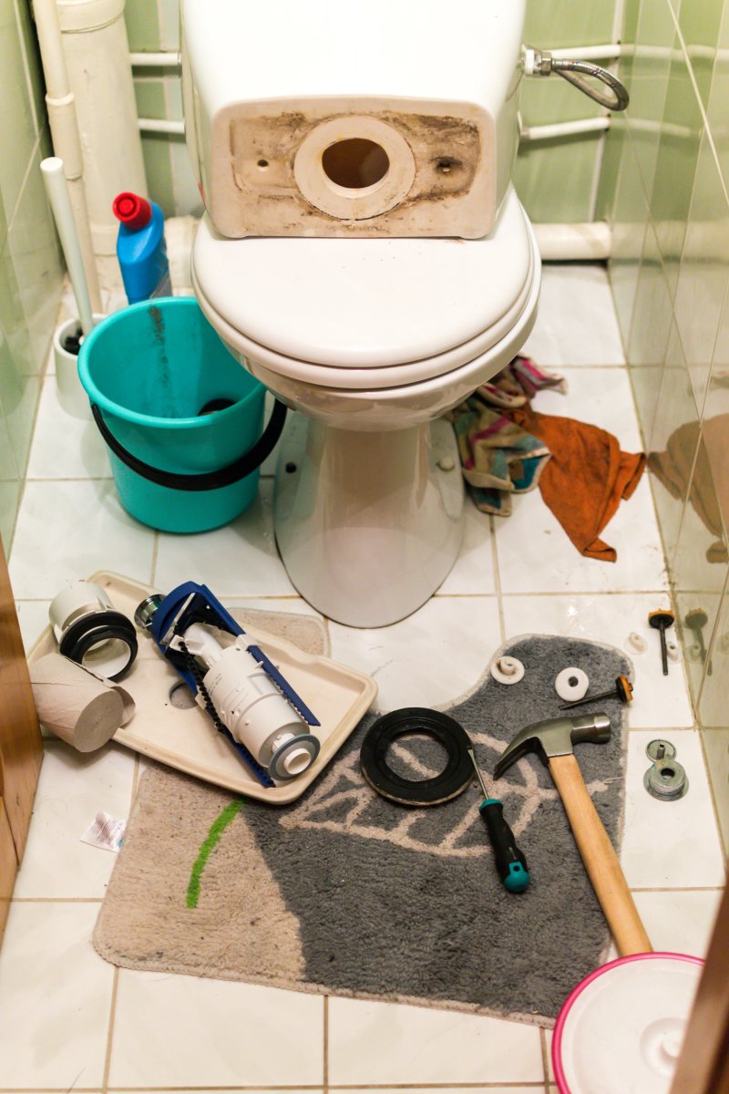Blocked Toilet Golders Green, Hampstead Garden Suburb, NW11